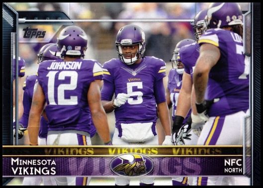 292 Minnesota Vikings
